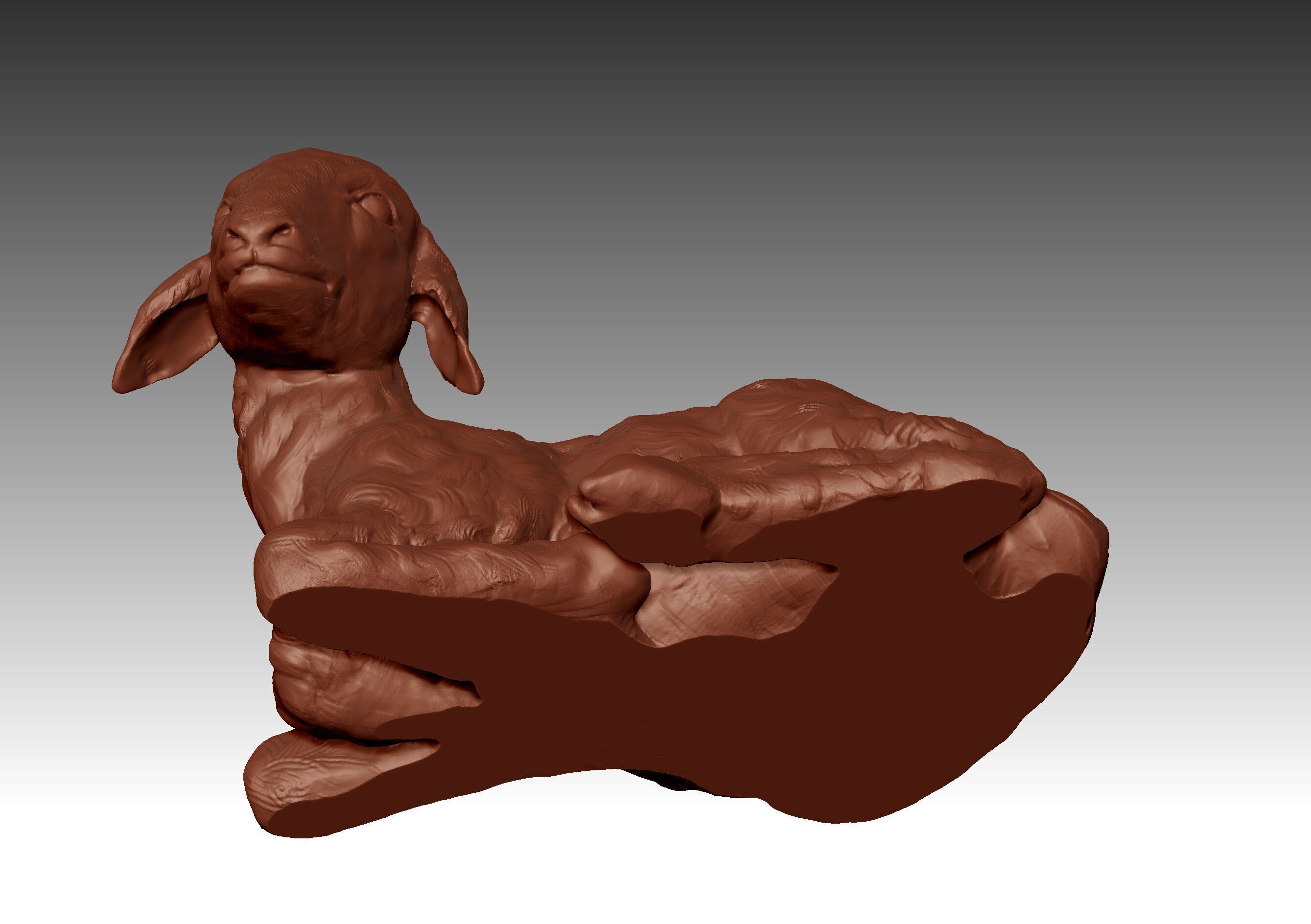 LAMB SHEEP 3D print model_4