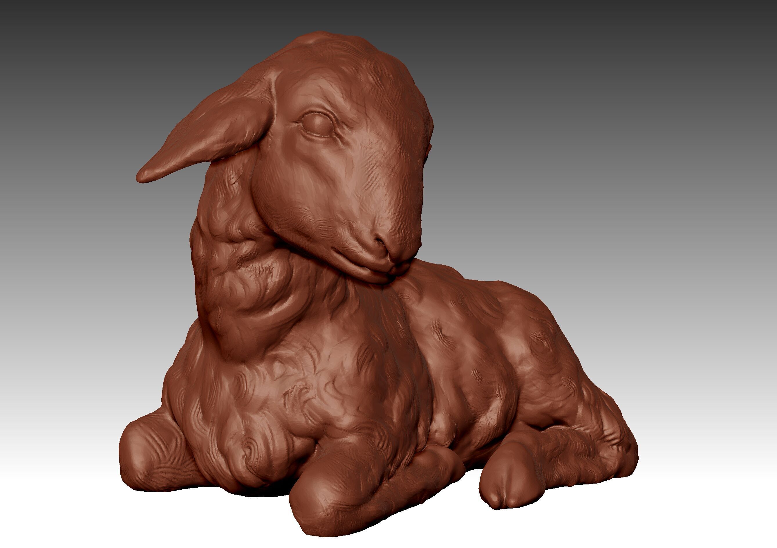 LAMB SHEEP 3D print model_2