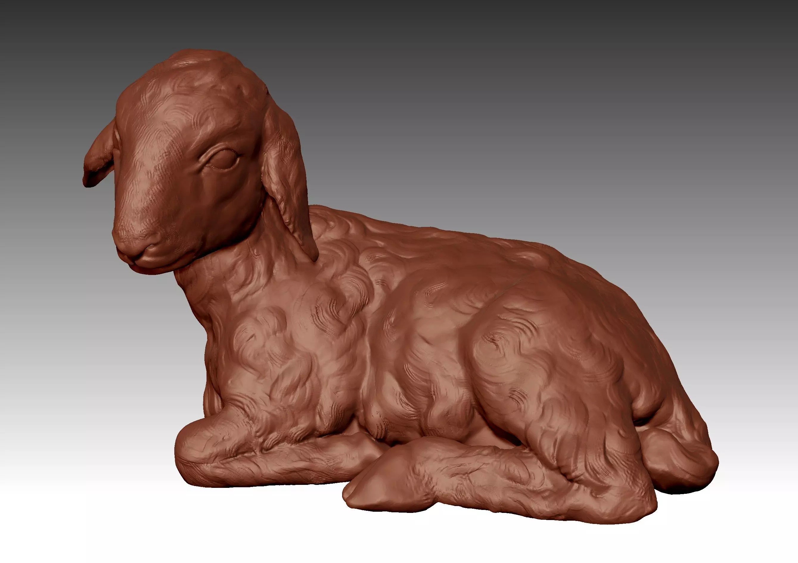 LAMB SHEEP 3D print model_0