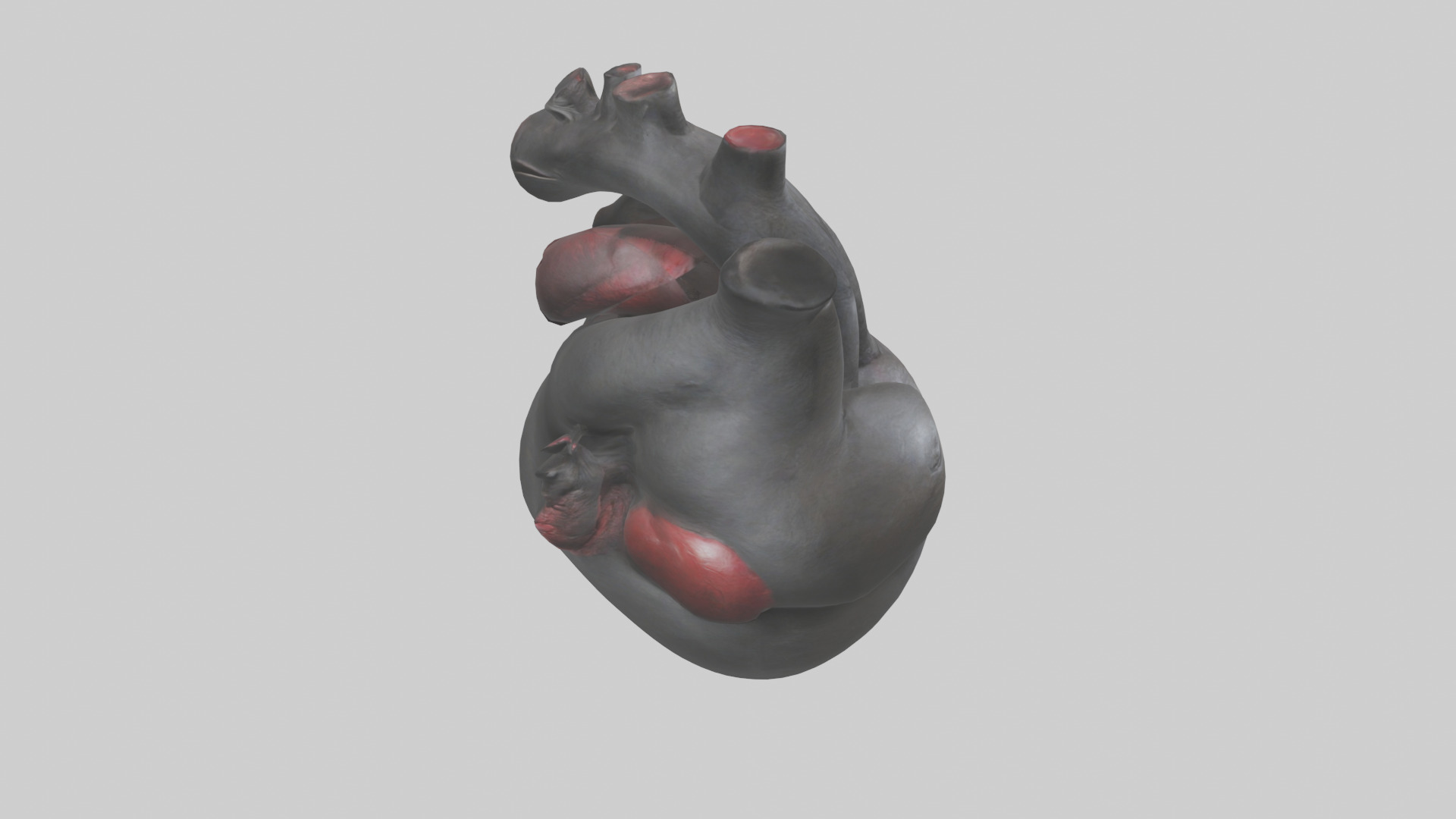 Gorilla Heart Low-poly 3D model_18