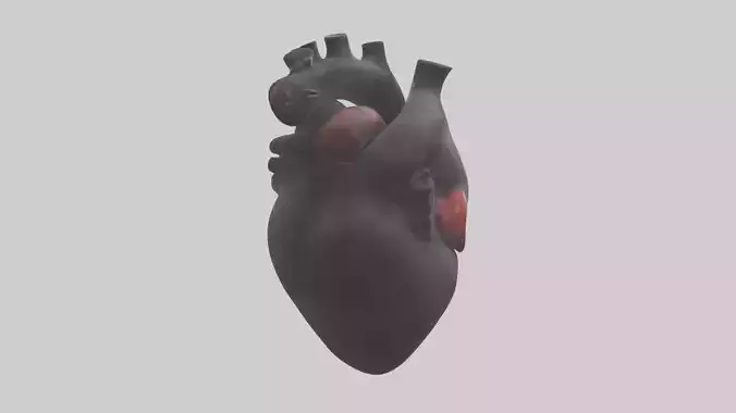 Gorilla Heart