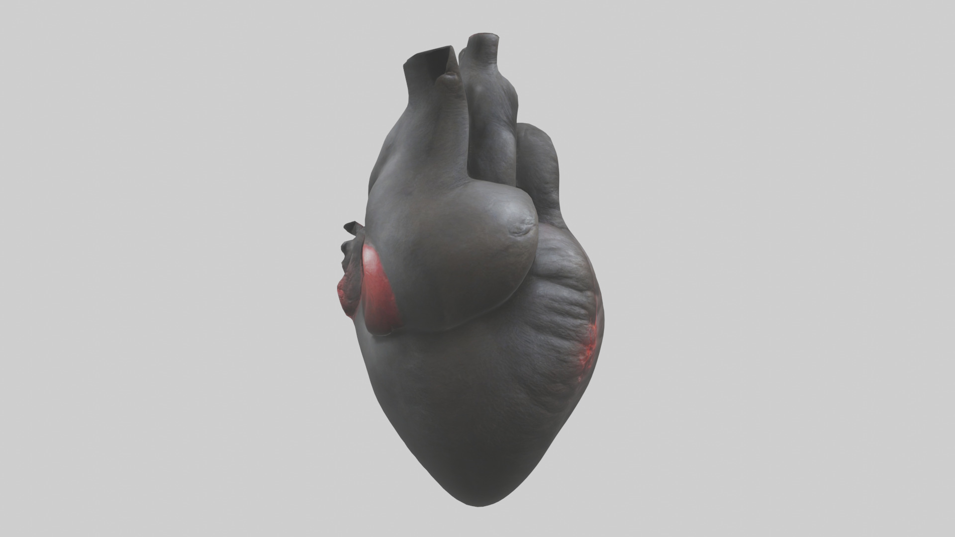 Gorilla Heart Low-poly 3D model_7