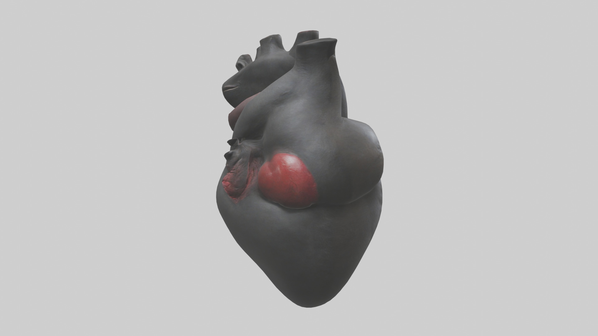 Gorilla Heart Low-poly 3D model_13