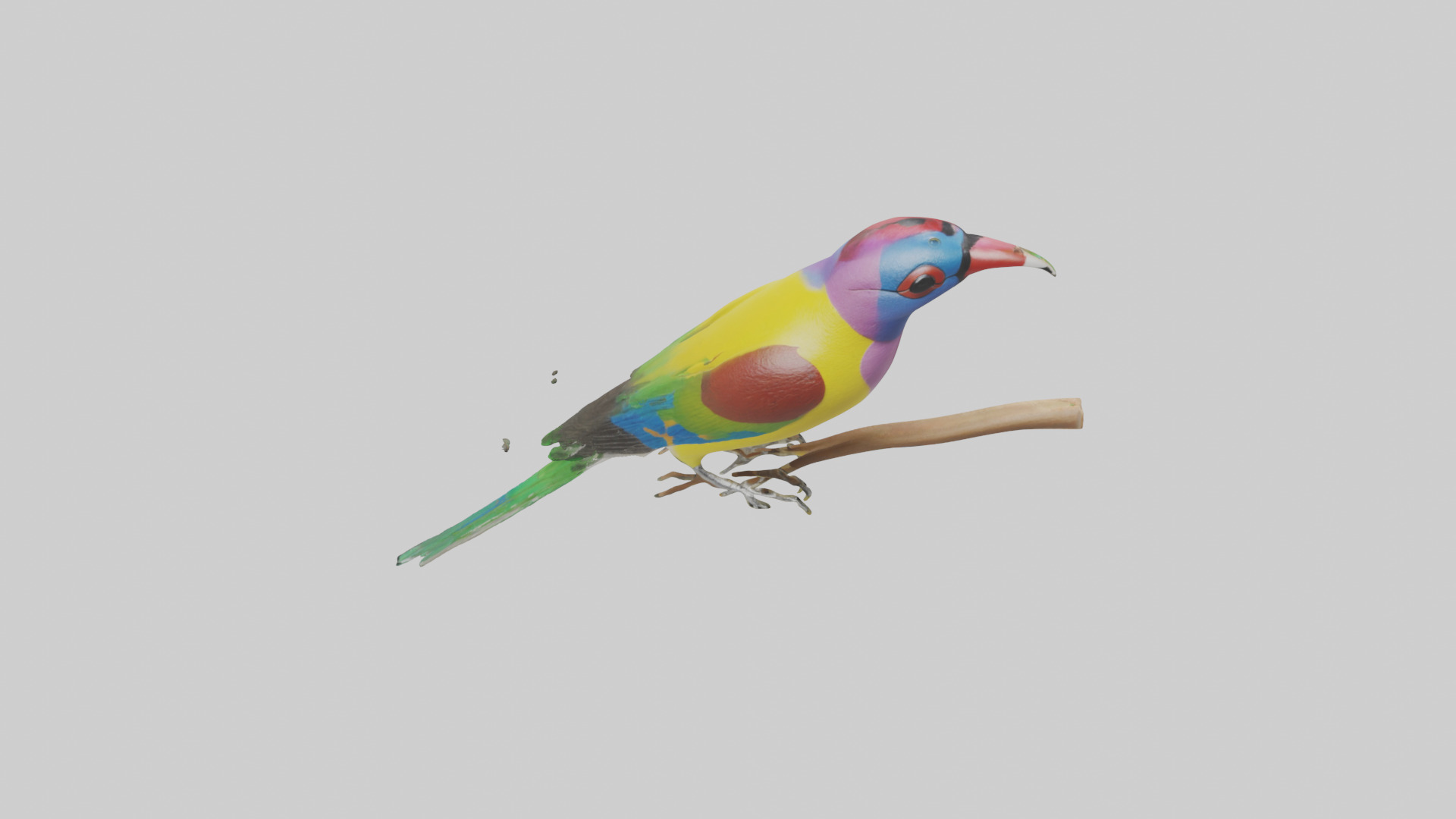 Gouldian Finch perched model Low-poly 3D model_16
