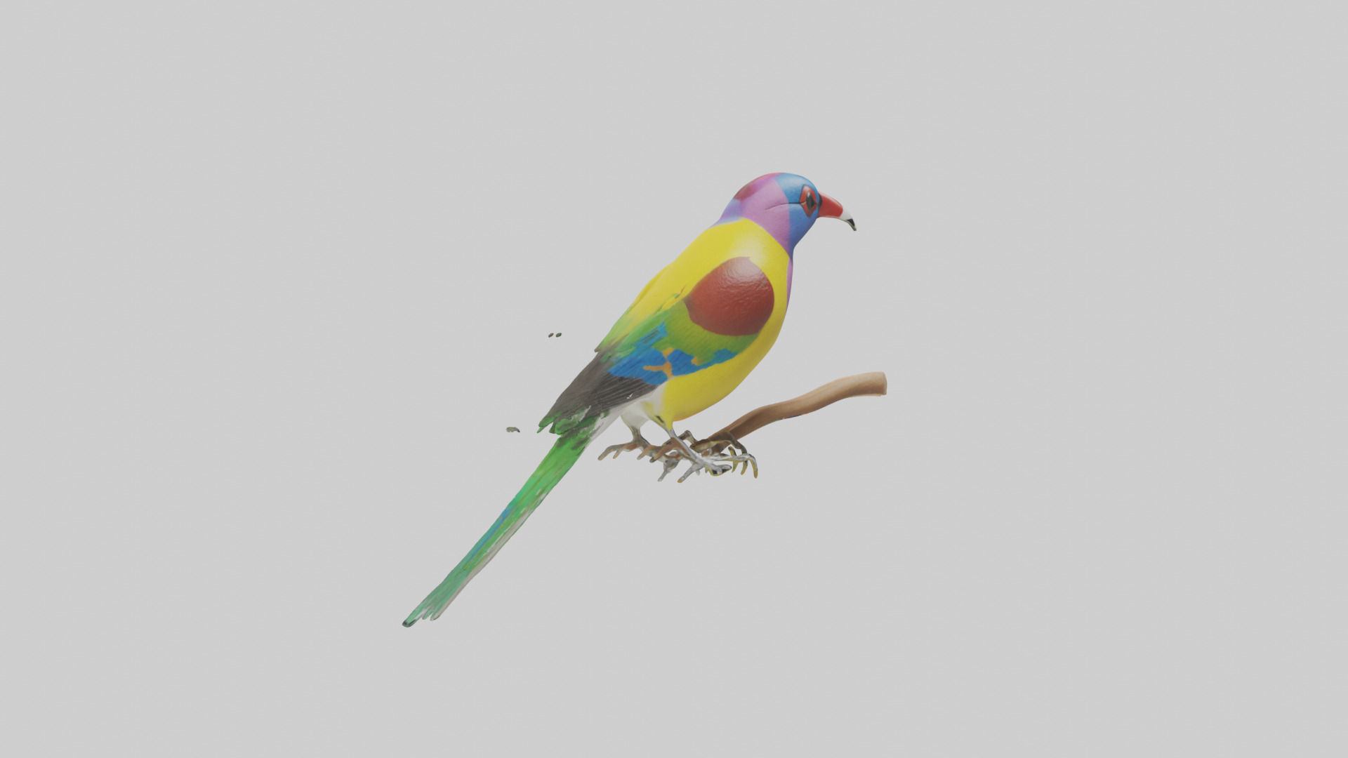 Gouldian Finch perched model Low-poly 3D model_11