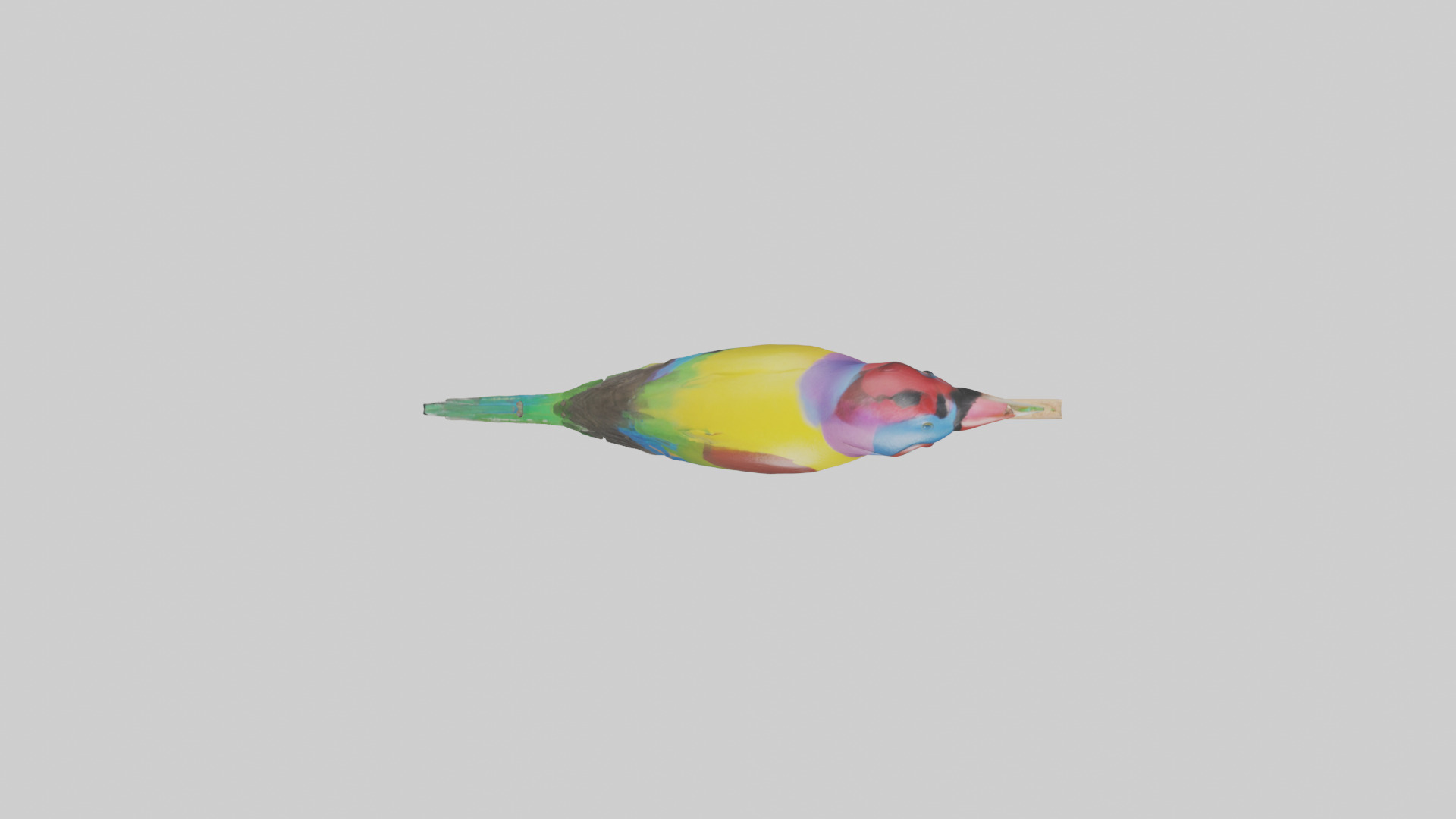 Gouldian Finch perched model Low-poly 3D model_14