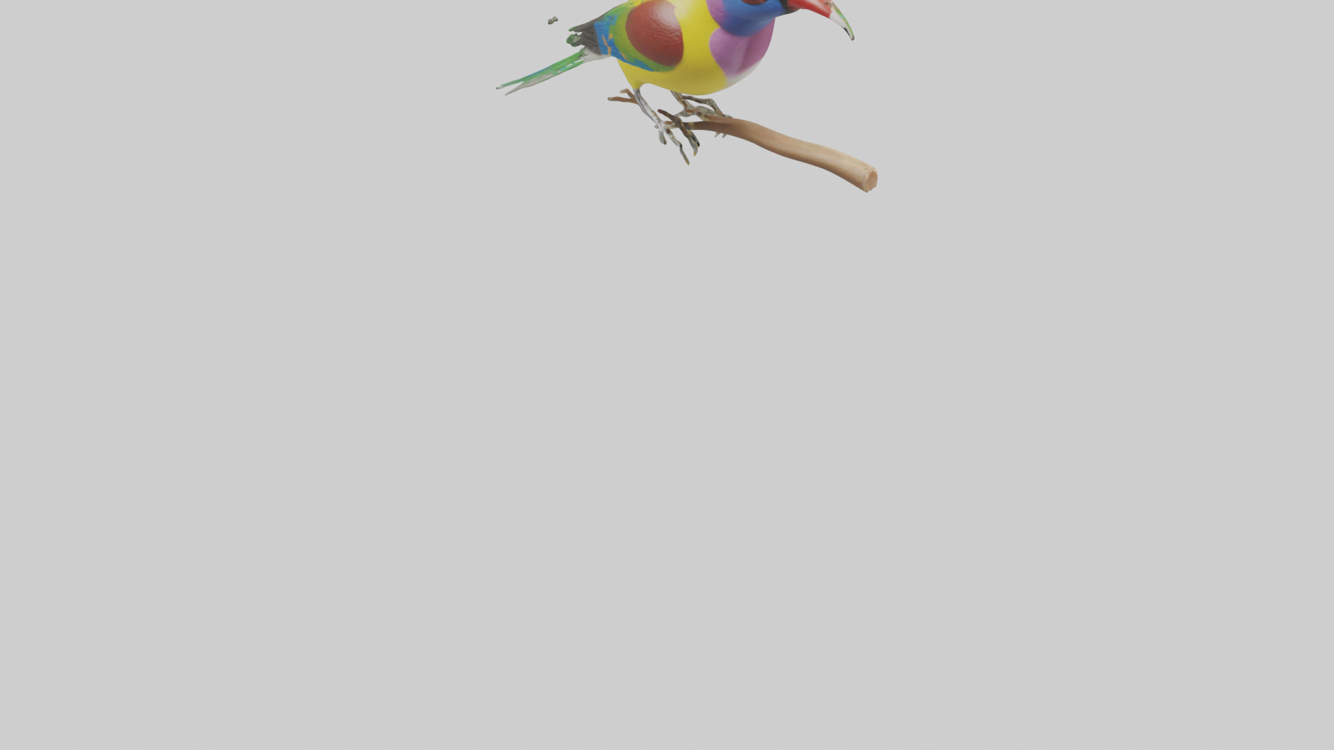 Gouldian Finch perched model Low-poly 3D model_5