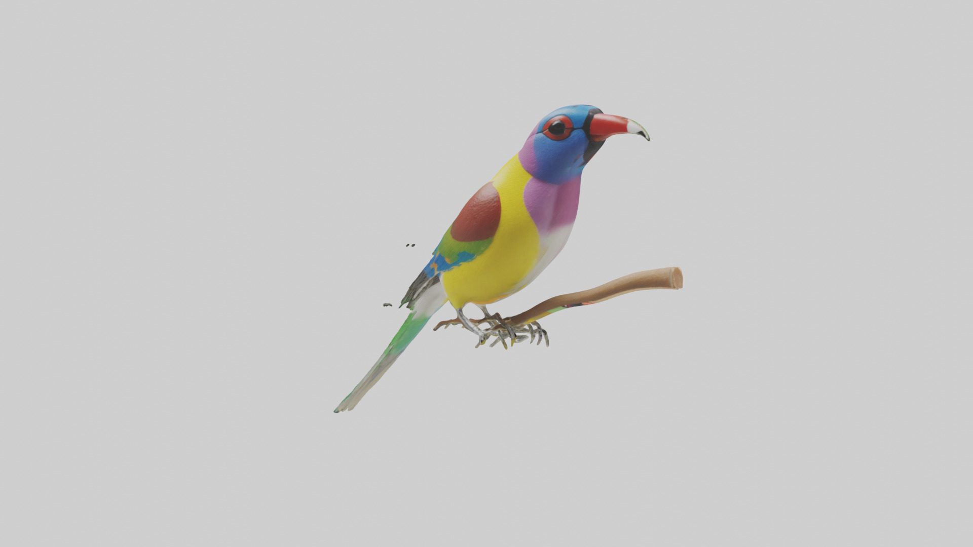 Gouldian Finch perched model Low-poly 3D model_10