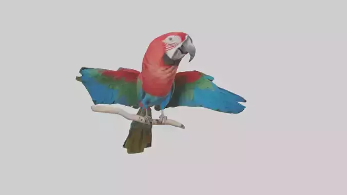 Greenwinged Macaw perched model