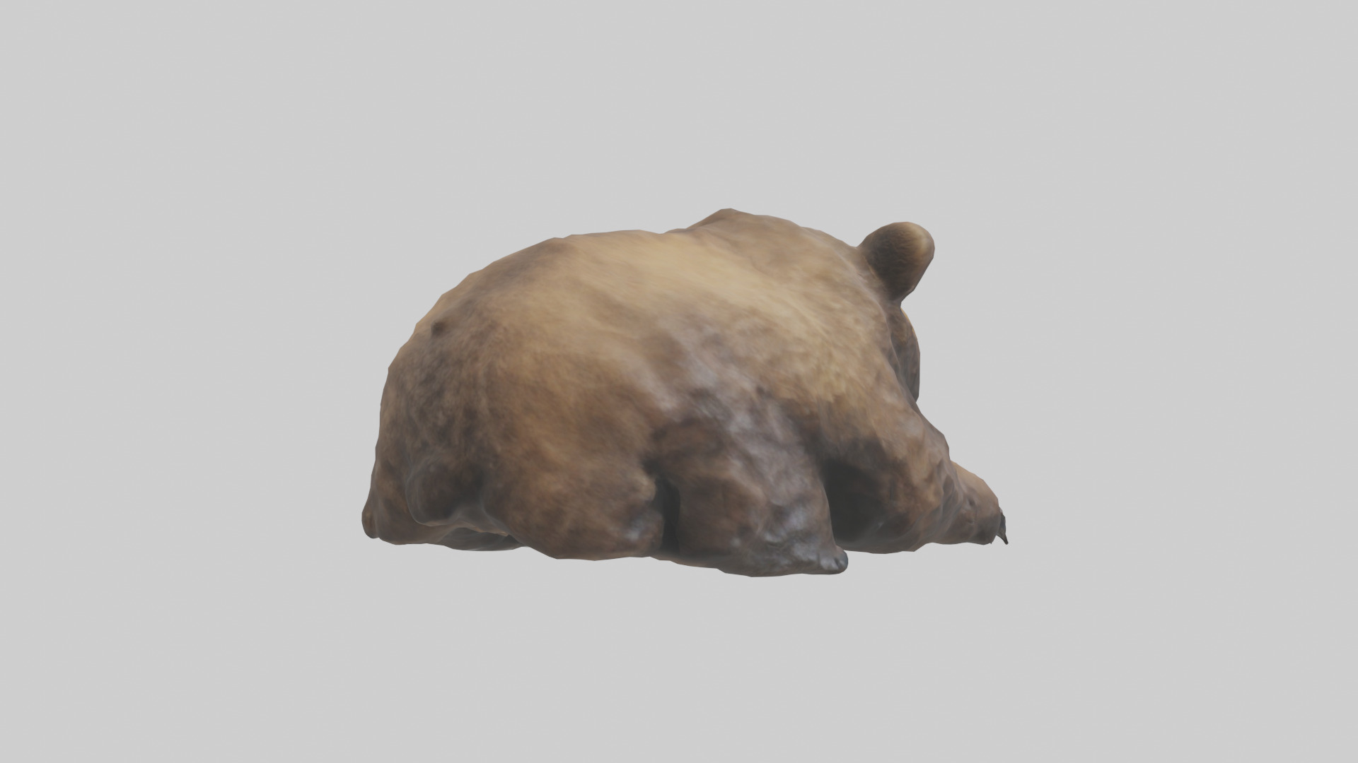 Grizzly Cub playing model Low-poly 3D model_7