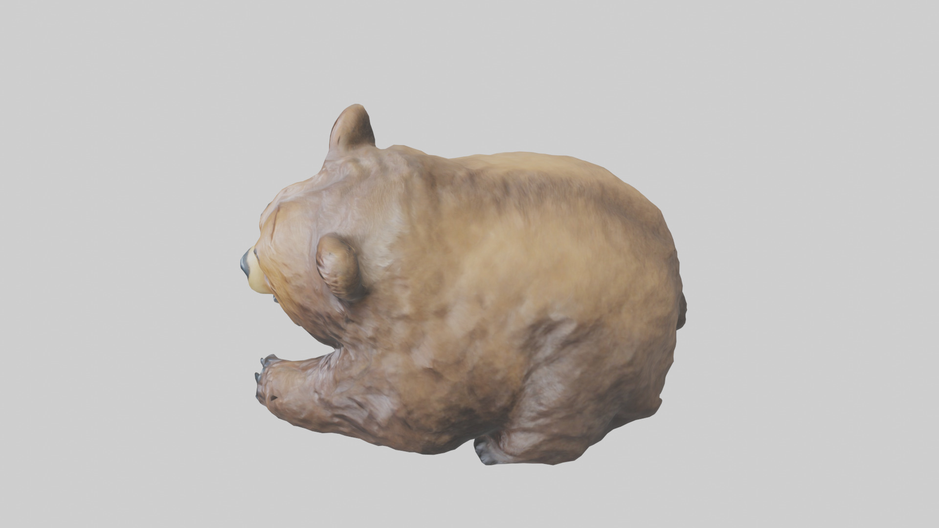 Grizzly Cub playing model Low-poly 3D model_17