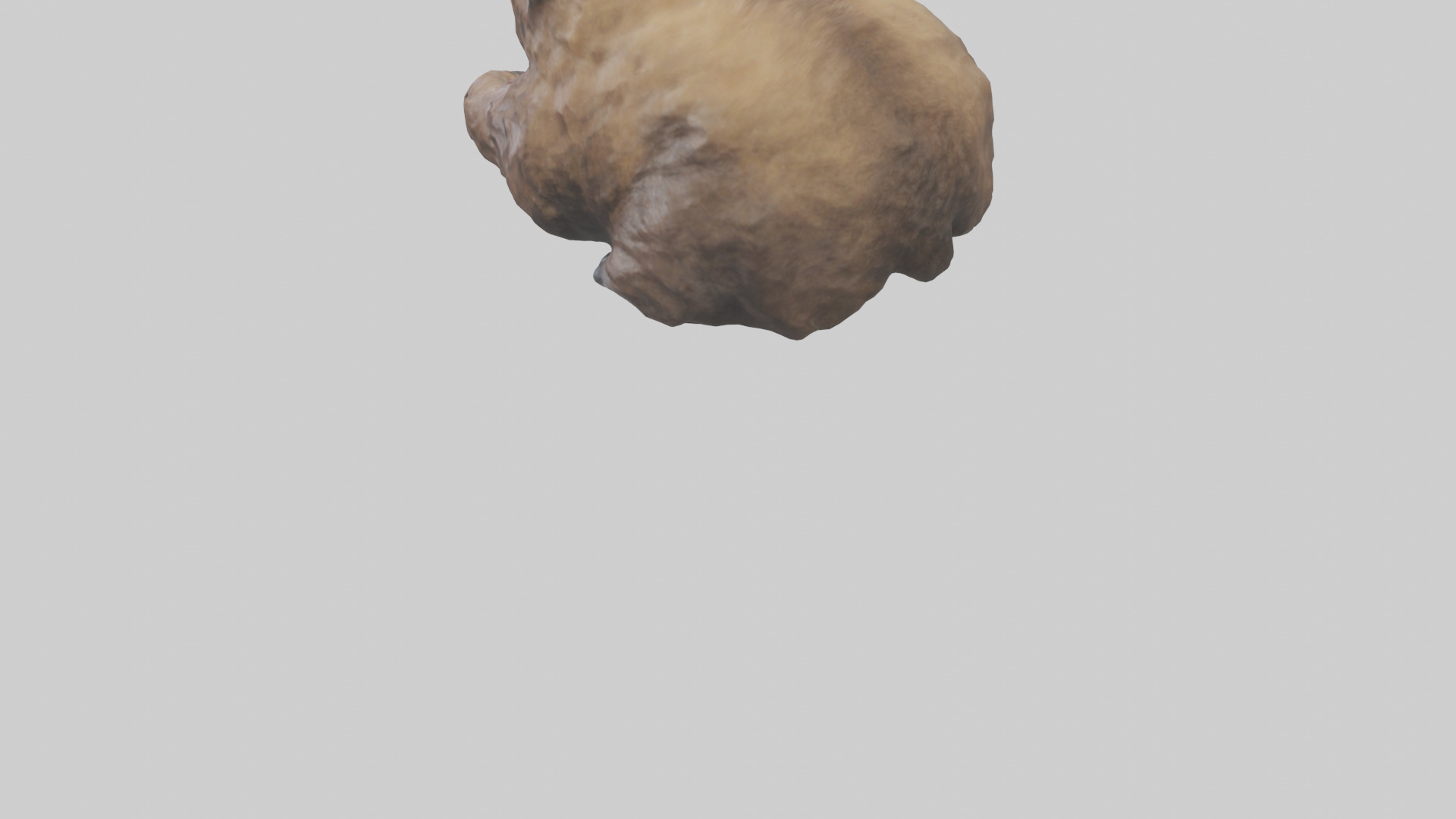 Grizzly Cub playing model Low-poly 3D model_8