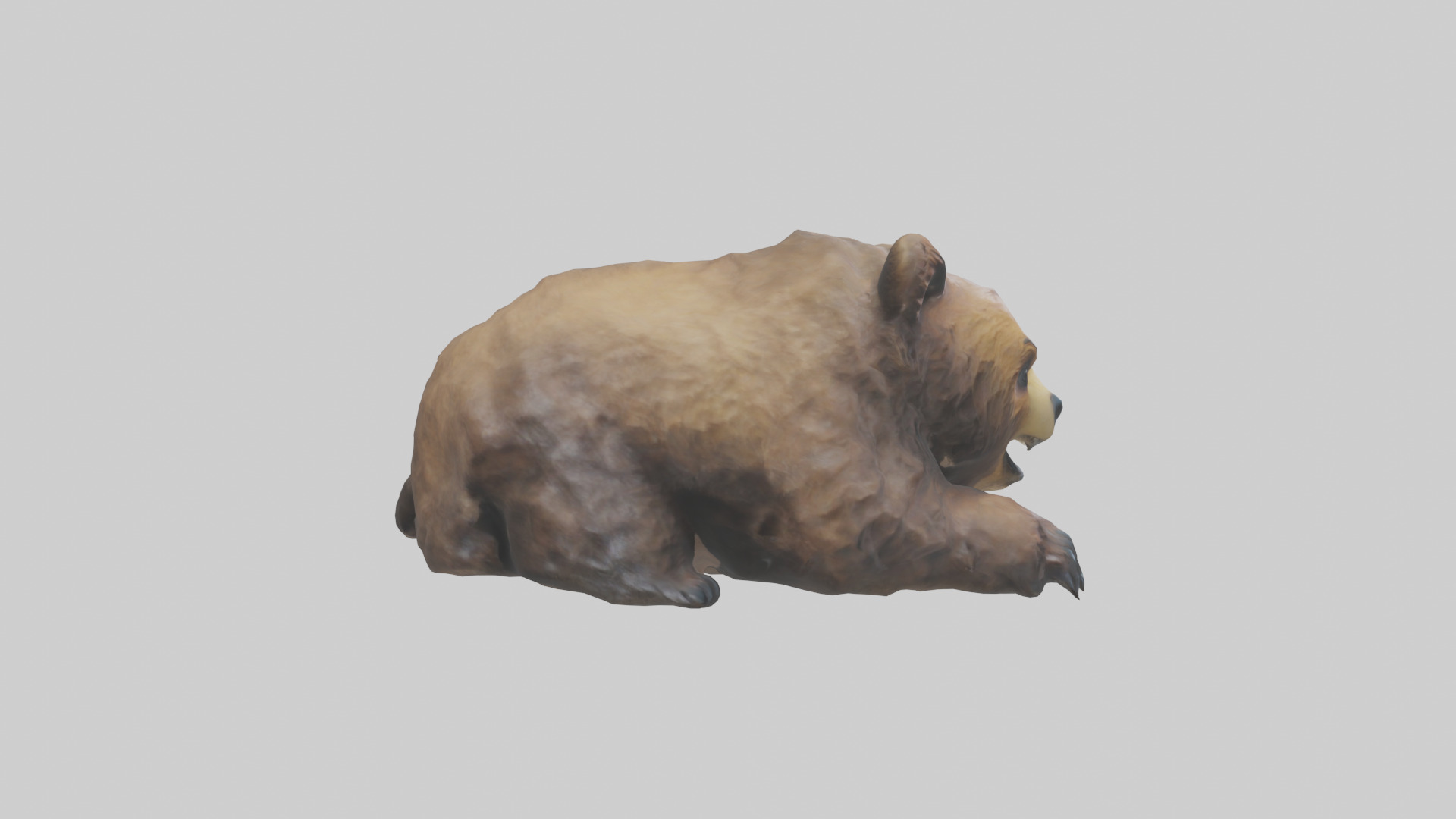 Grizzly Cub playing model Low-poly 3D model_13