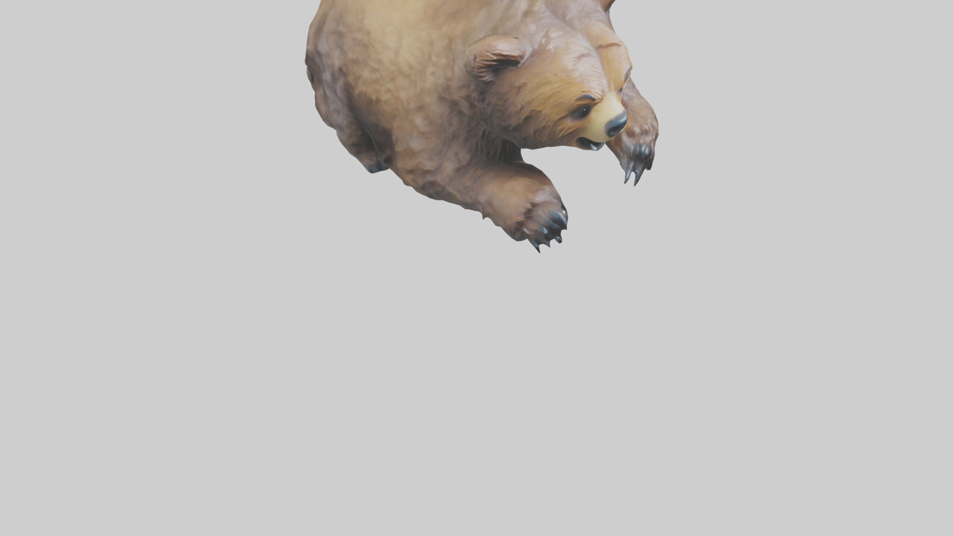 Grizzly Cub playing model Low-poly 3D model_11