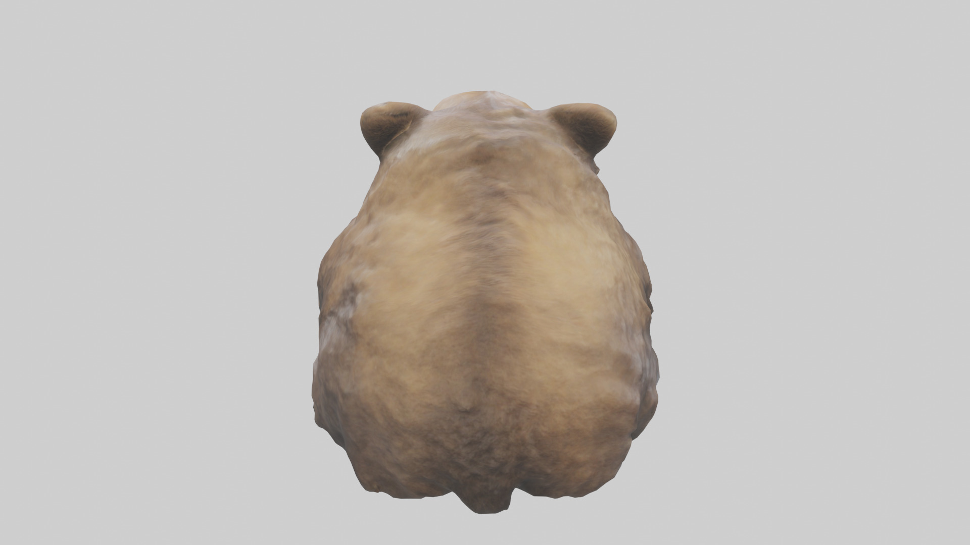 Grizzly Cub playing model Low-poly 3D model_15