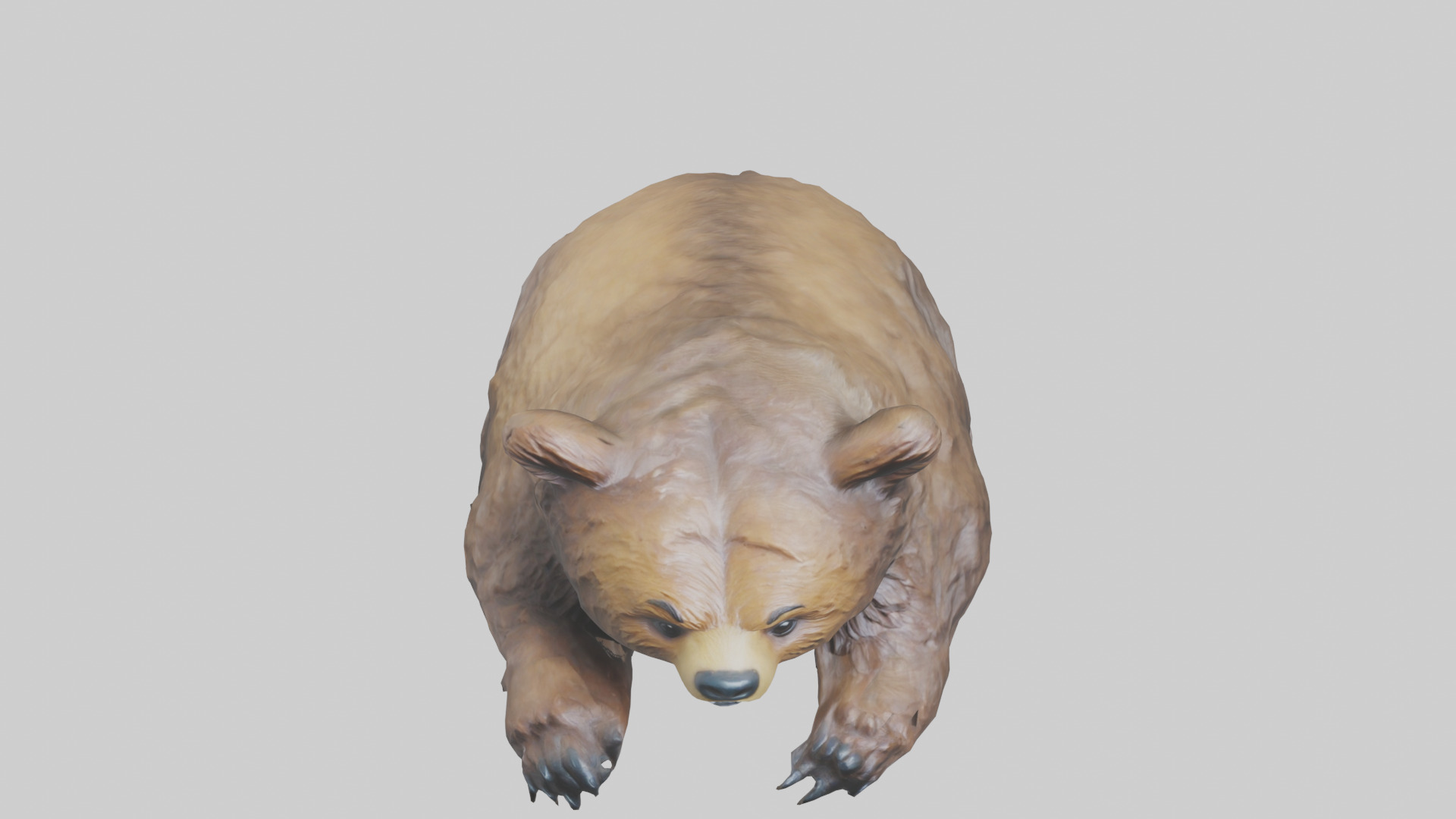 Grizzly Cub playing model Low-poly 3D model_16