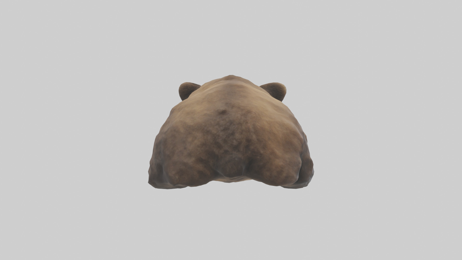 Grizzly Cub playing model Low-poly 3D model_4