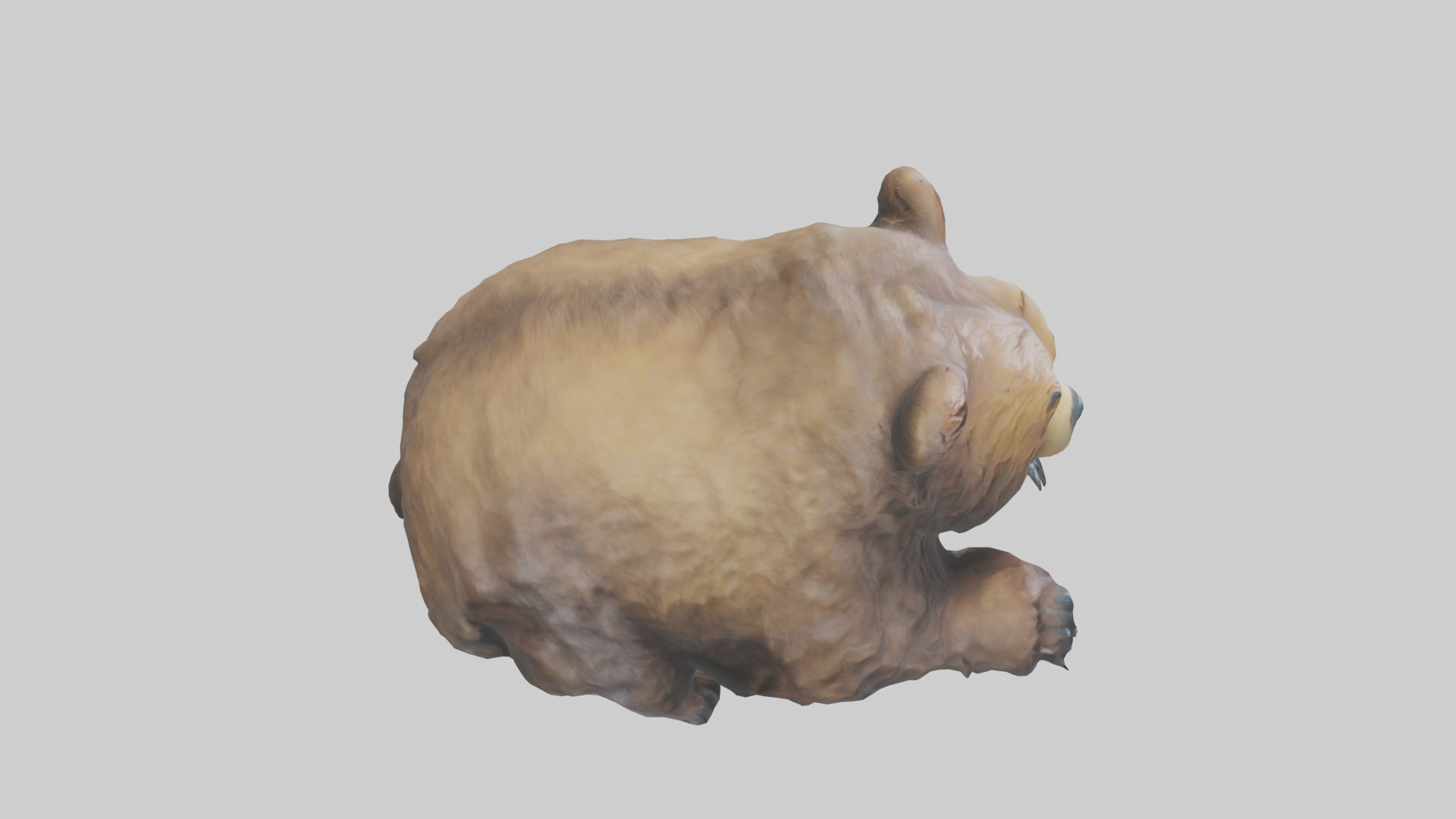 Grizzly Cub playing model Low-poly 3D model_18