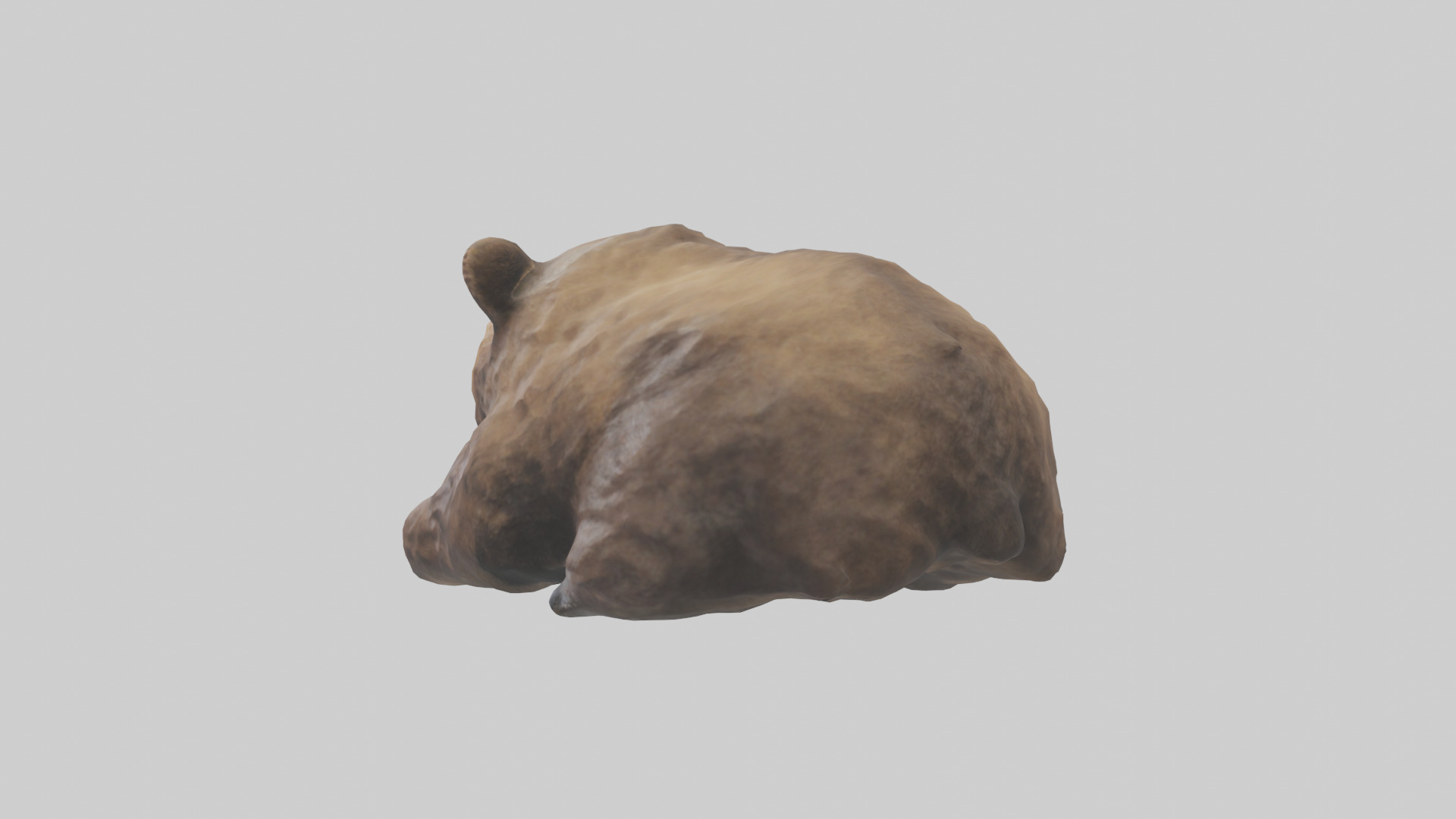 Grizzly Cub playing model Low-poly 3D model_6