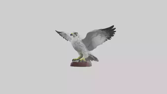 Gyrfalcon statue model