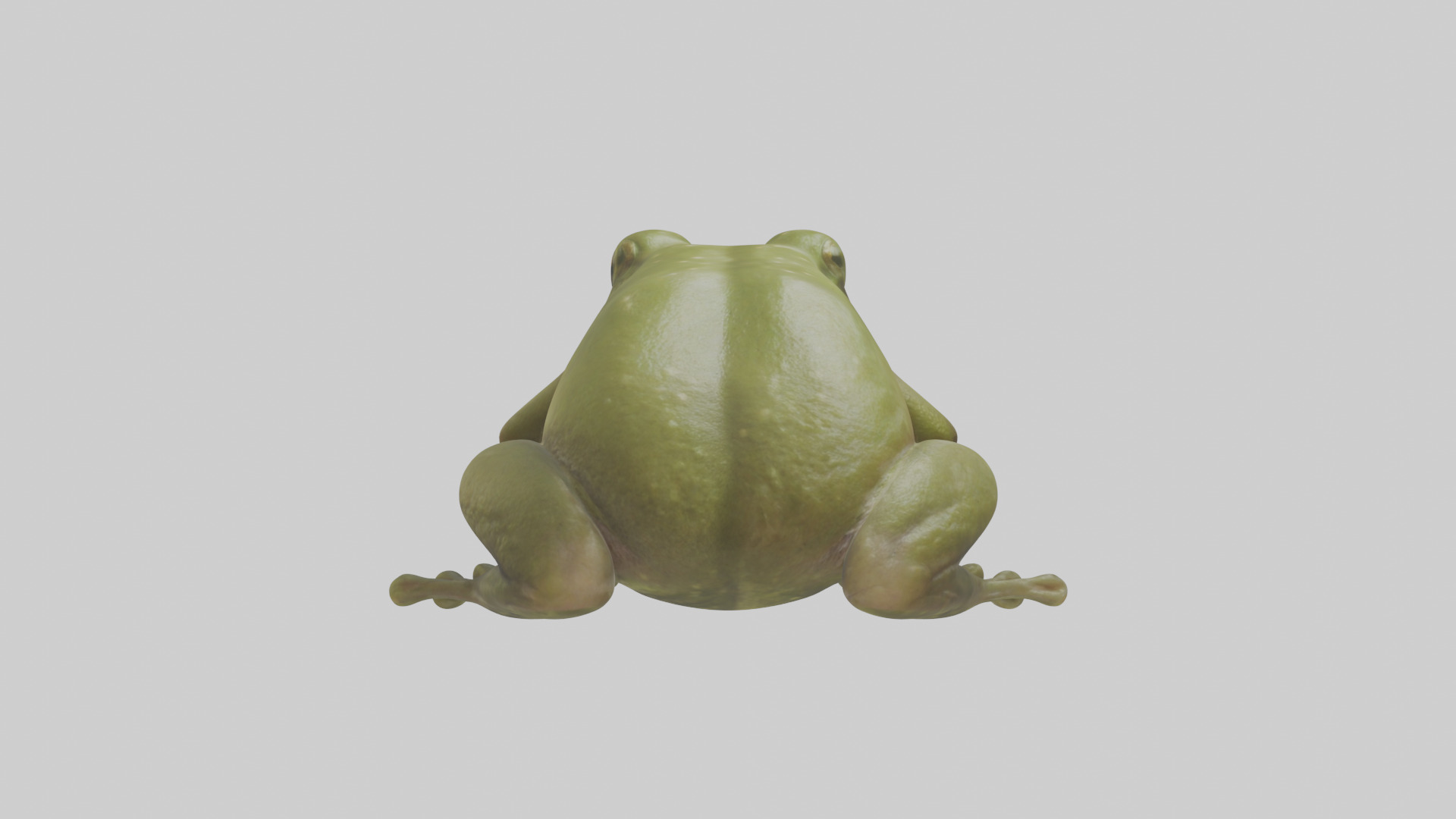 Hairy Frog sitting model Low-poly 3D model_3