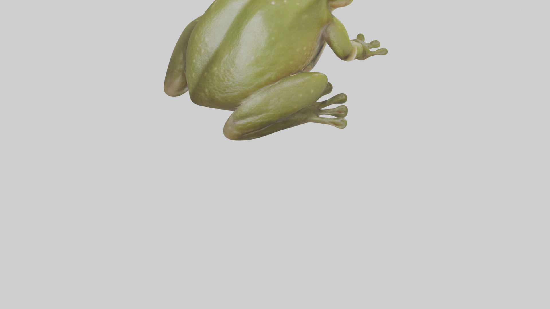 Hairy Frog sitting model Low-poly 3D model_7