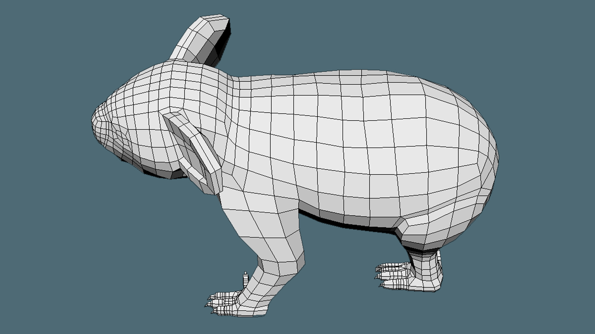 Coala Low Poly Base Mesh Low-poly 3D model_5