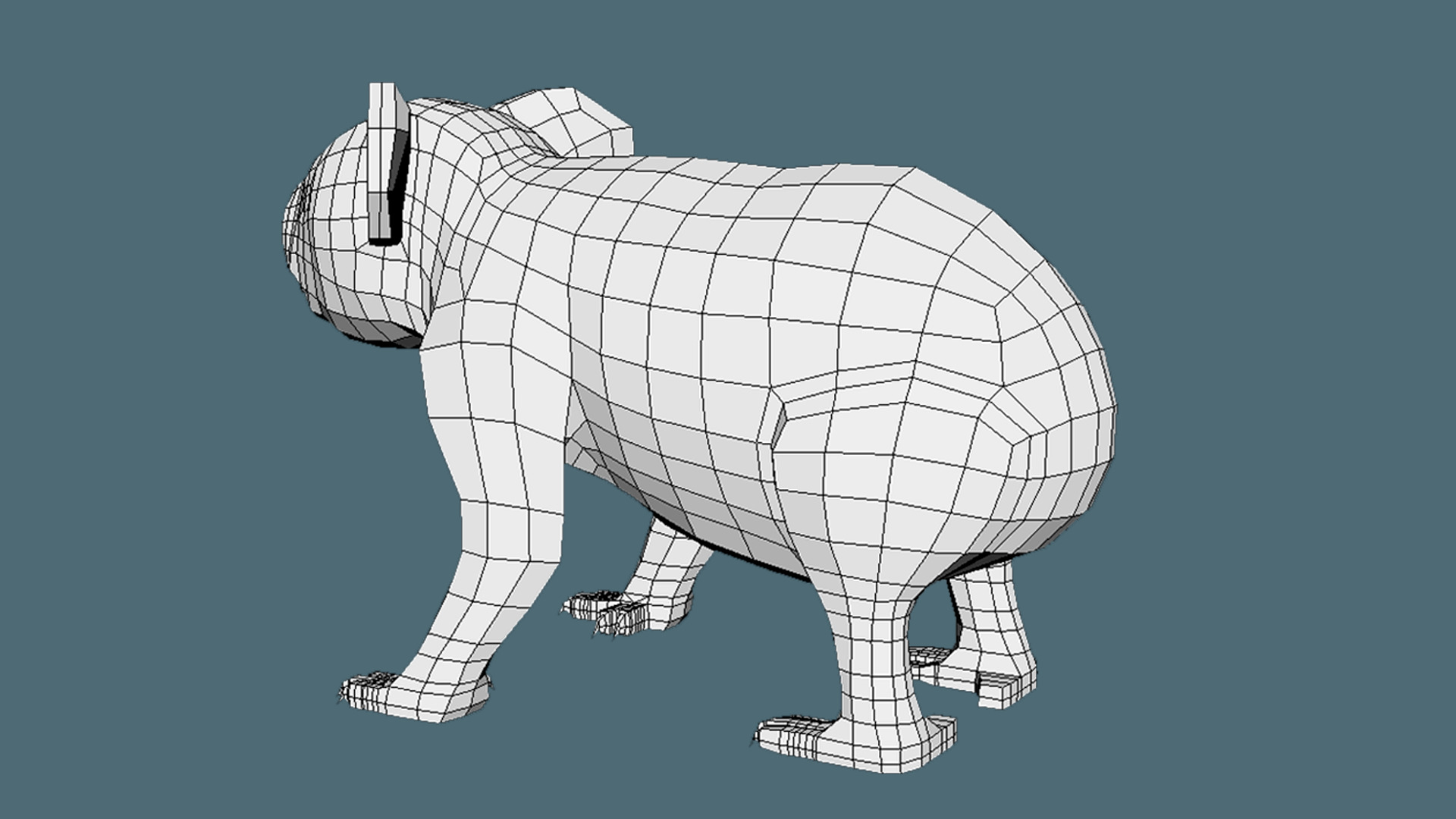 Coala Low Poly Base Mesh Low-poly 3D model_3