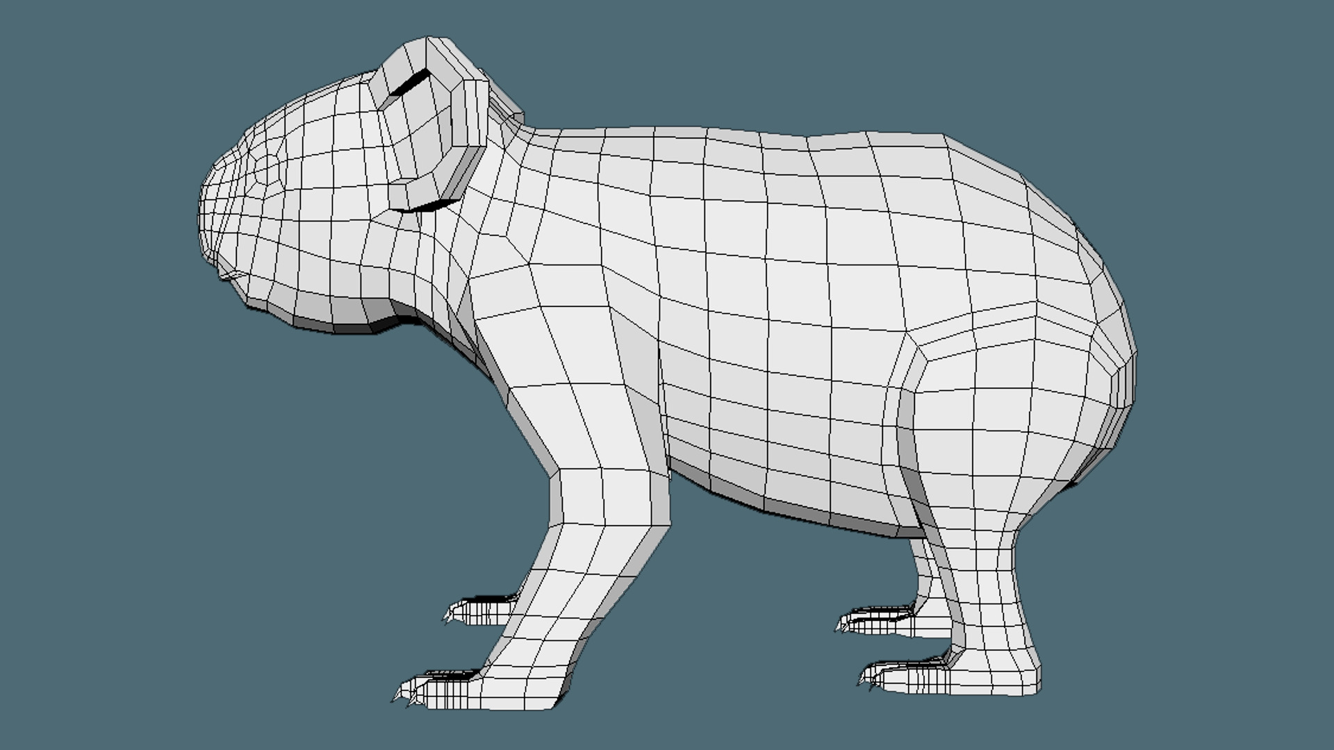 Coala Low Poly Base Mesh Low-poly 3D model_2