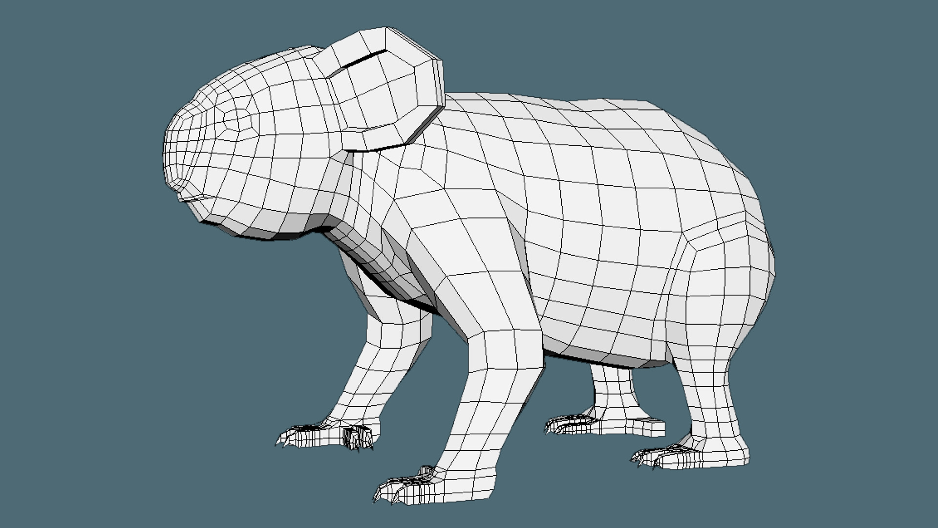Coala Low Poly Base Mesh Low-poly 3D model_1