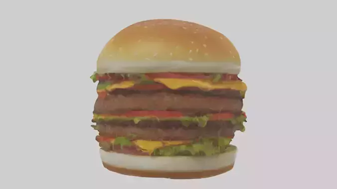 Hamburger model