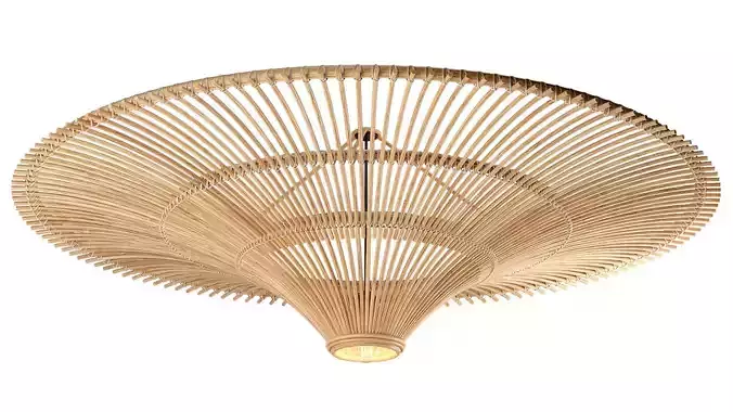 Huge Rattan Lamp