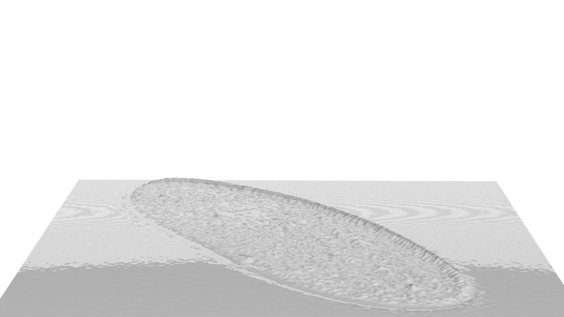 Paramecium 3D model_7