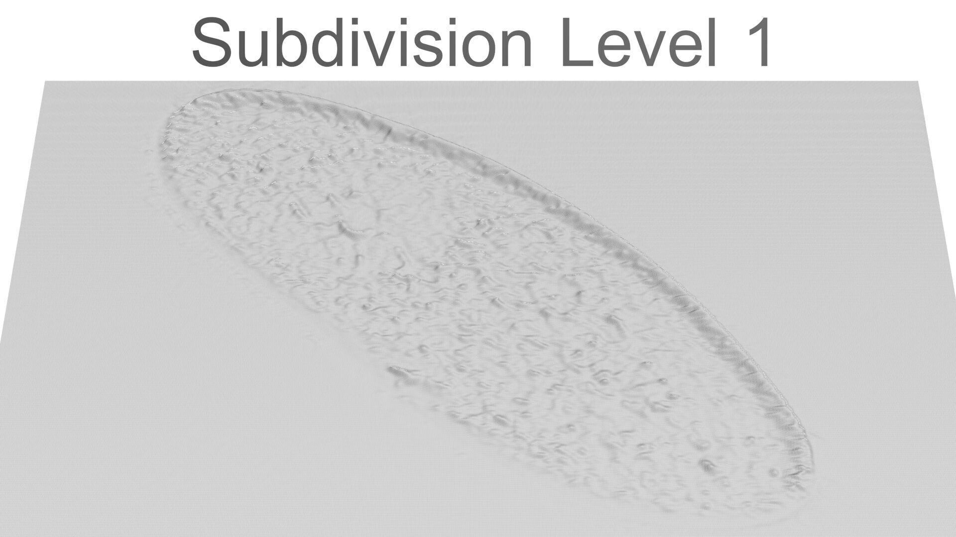 Paramecium 3D model_10