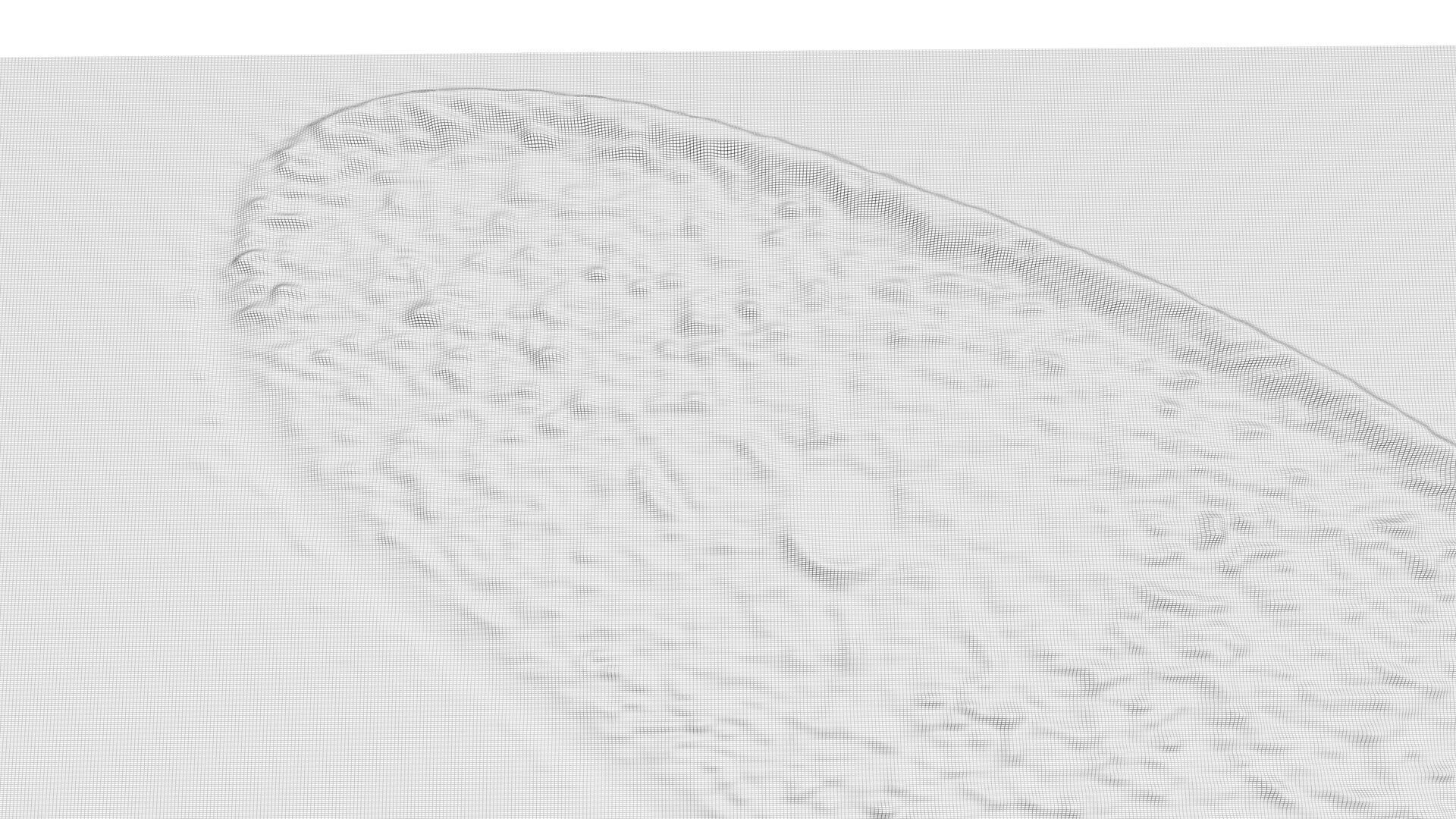 Paramecium 3D model_5