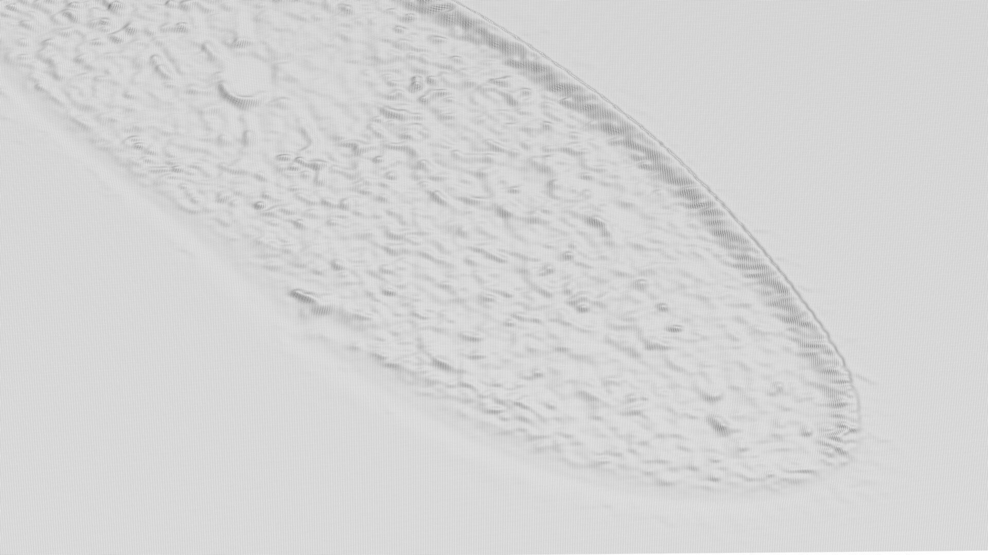 Paramecium 3D model_6