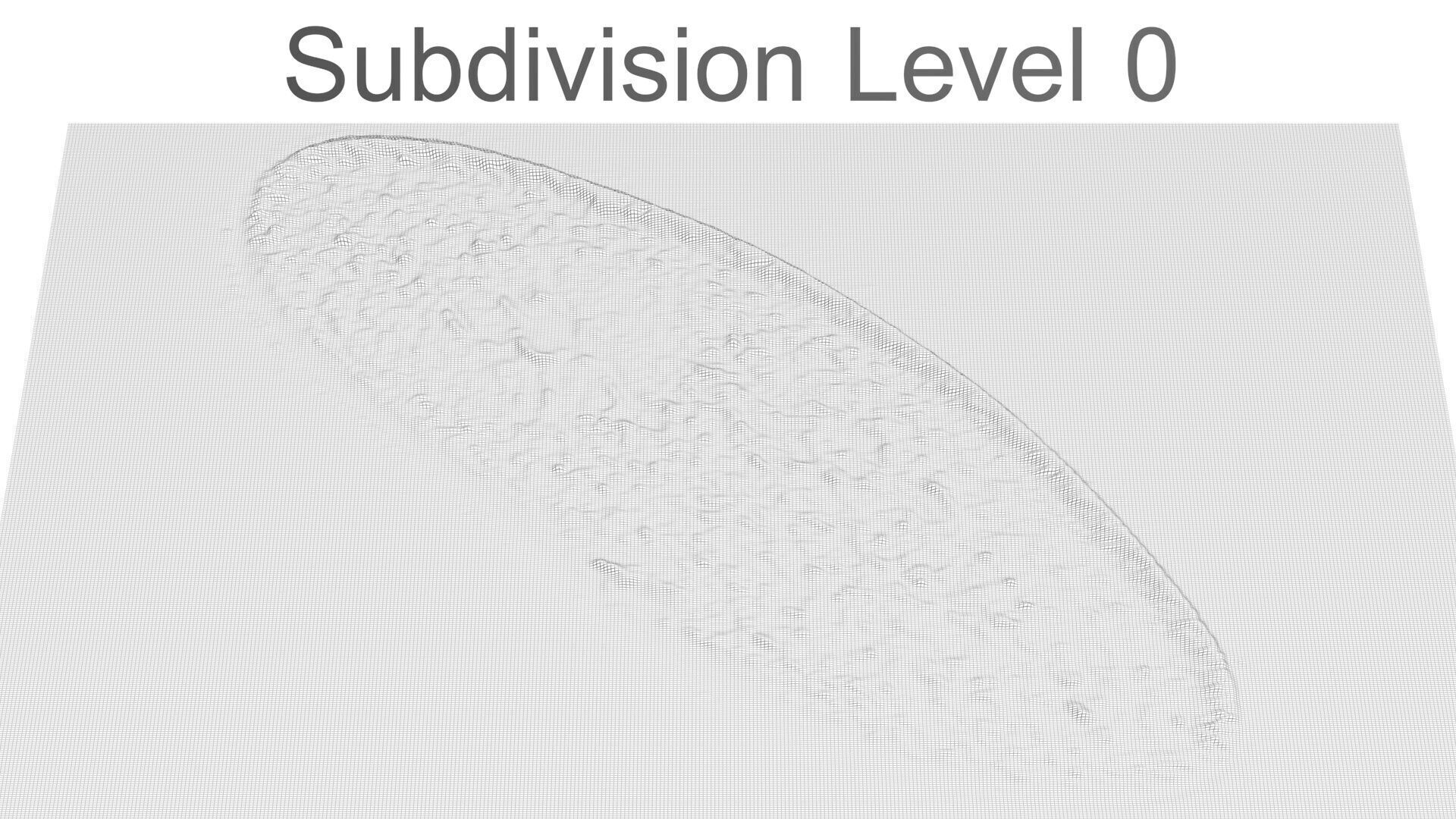 Paramecium 3D model_11