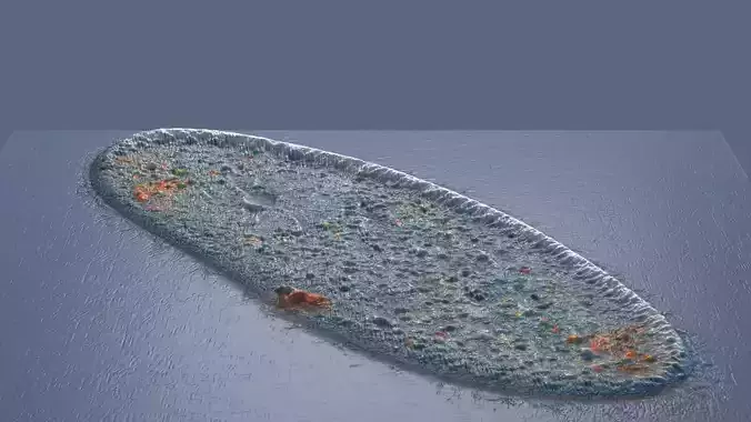 Paramecium 3D model