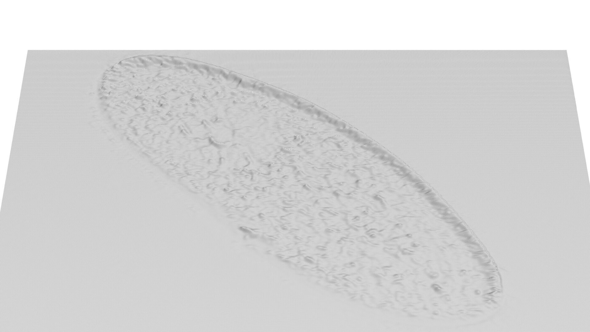 Paramecium 3D model_9