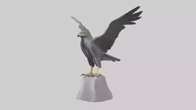 Harrier Hawk statue model