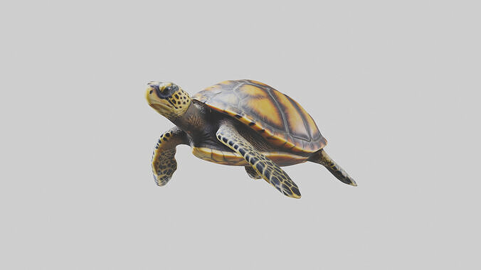 Hawksbill Turtle statue model Low-poly 3D model