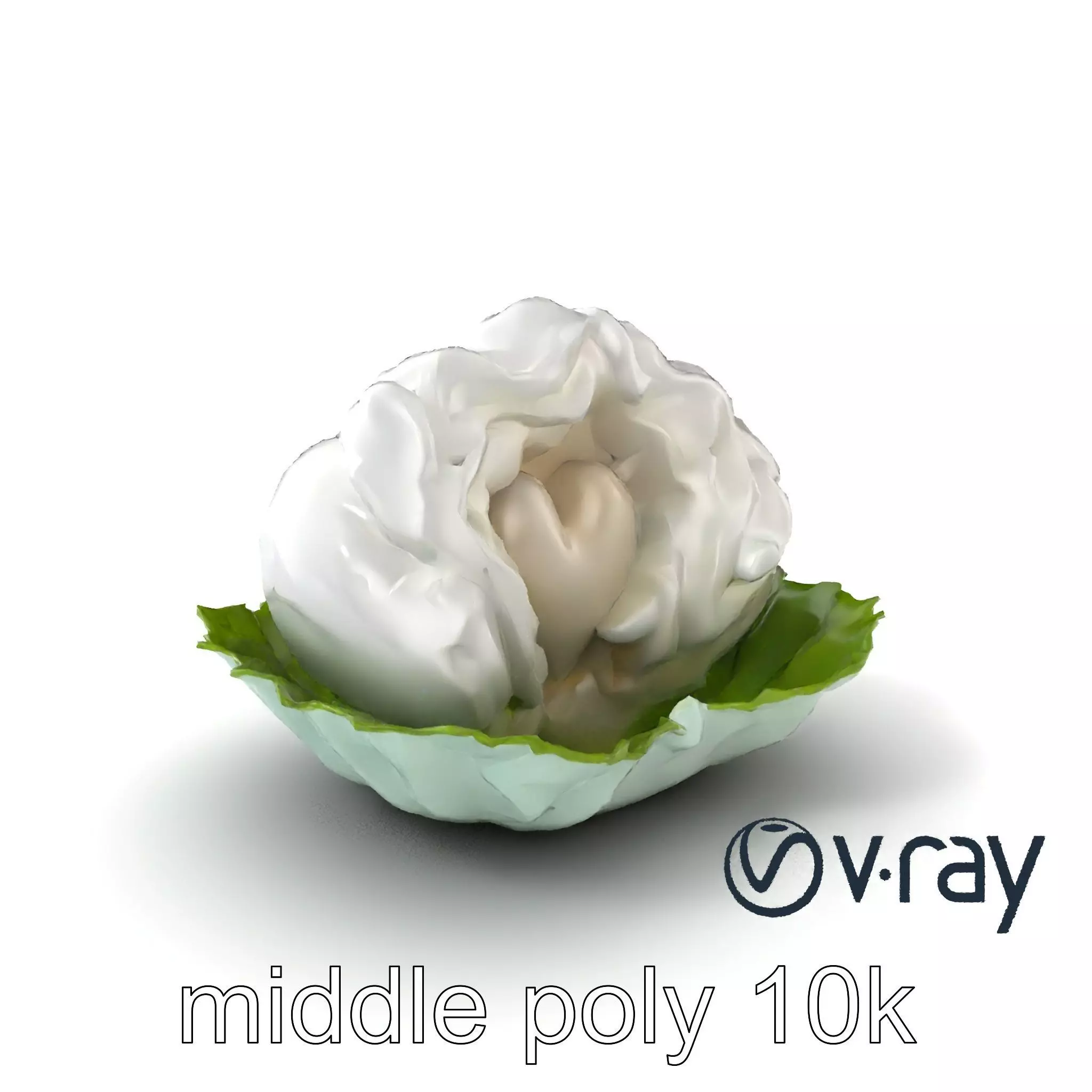 Fantasy Cloud Dimsum Sculpture model pack Low-poly 3D model_0
