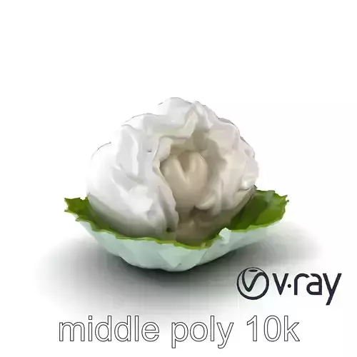 Fantasy Cloud Dimsum Sculpture model pack Low-poly 3D model