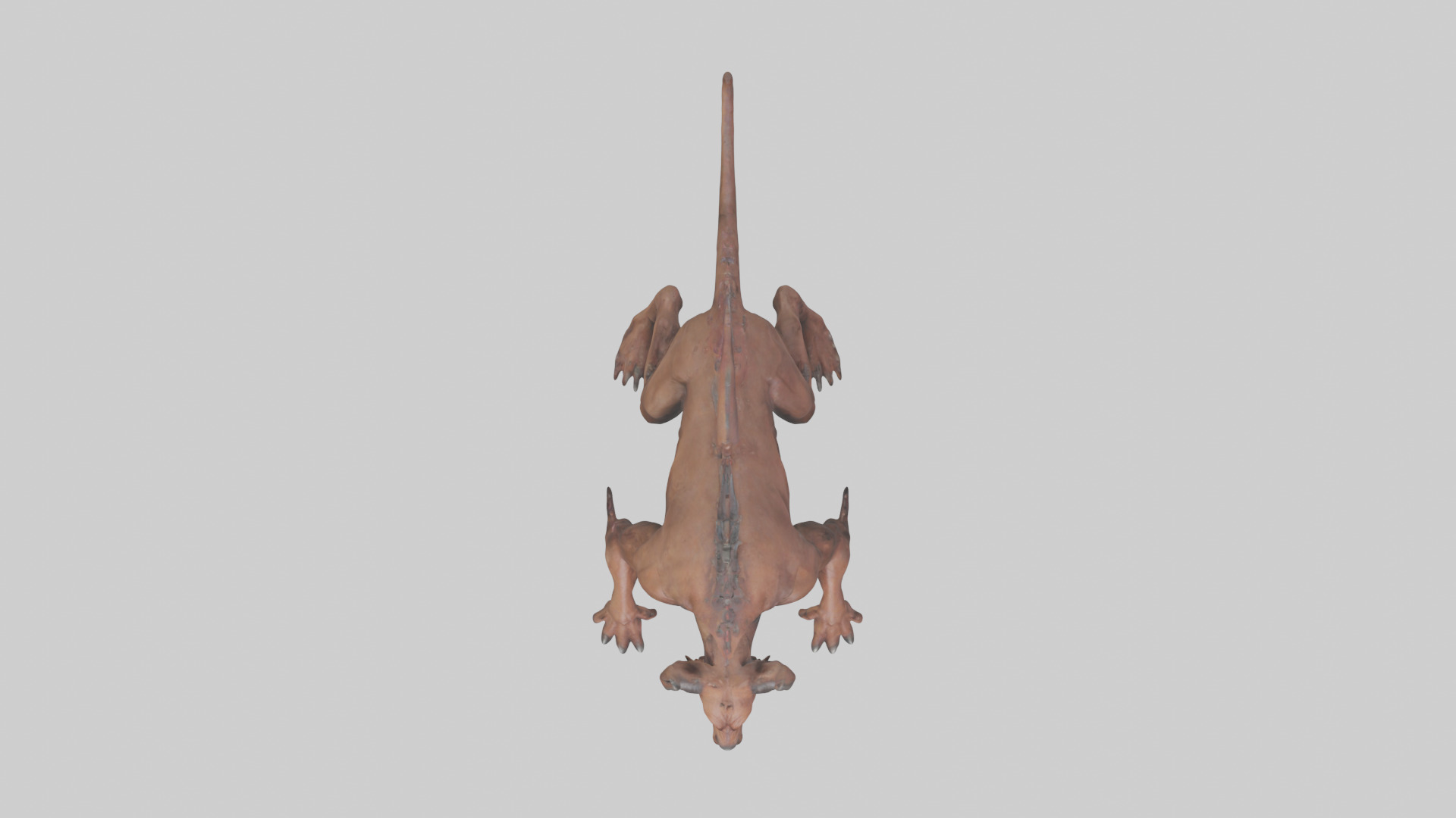 Hell Hound model Low-poly 3D model_14