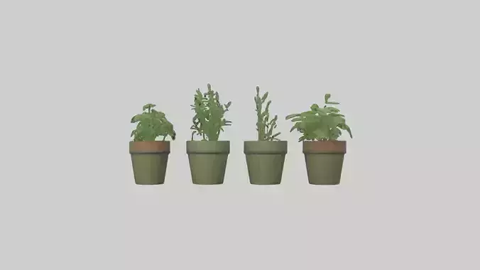 Herb Pots model