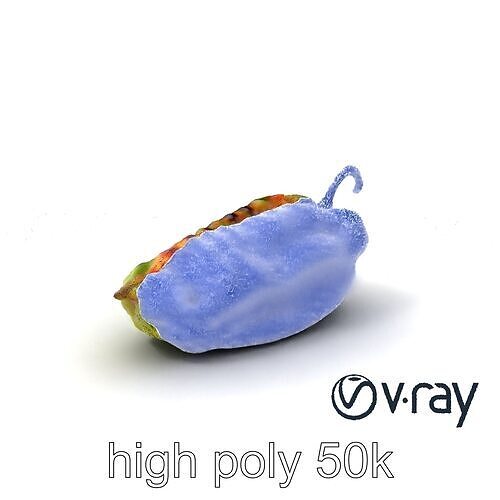 Poblano Pepper Stuffed Cheese Culinary model pack Low-poly 3D model 2