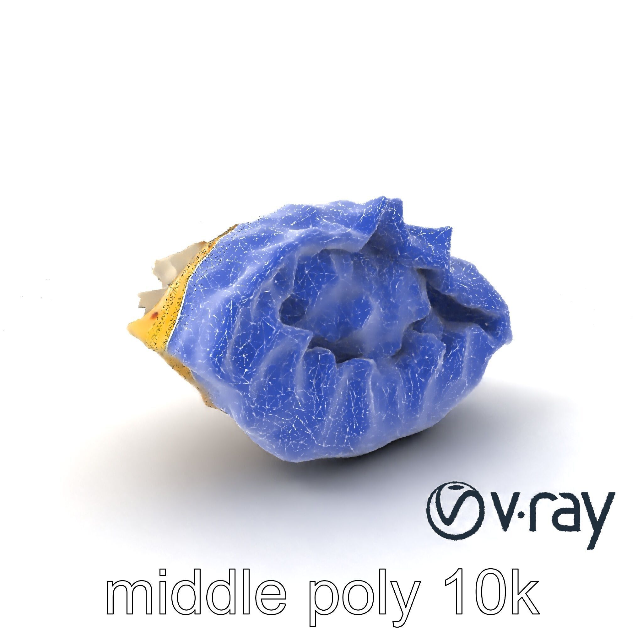 Swiss Cheese Dumpling Chorizo Delight model pack Low-poly 3D model_5