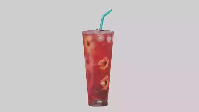 Hibiscus iced tea model