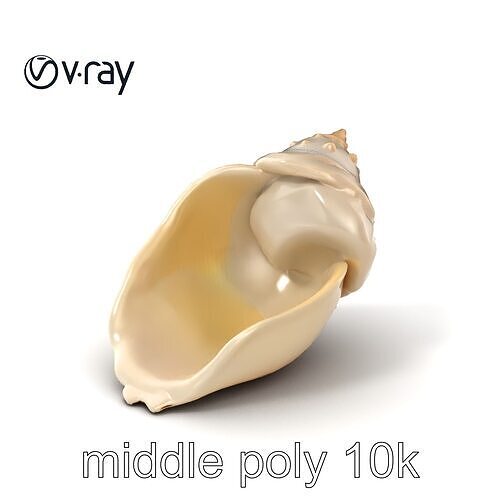 Luminous Seashell Sculpture model pack Low-poly 3D model
