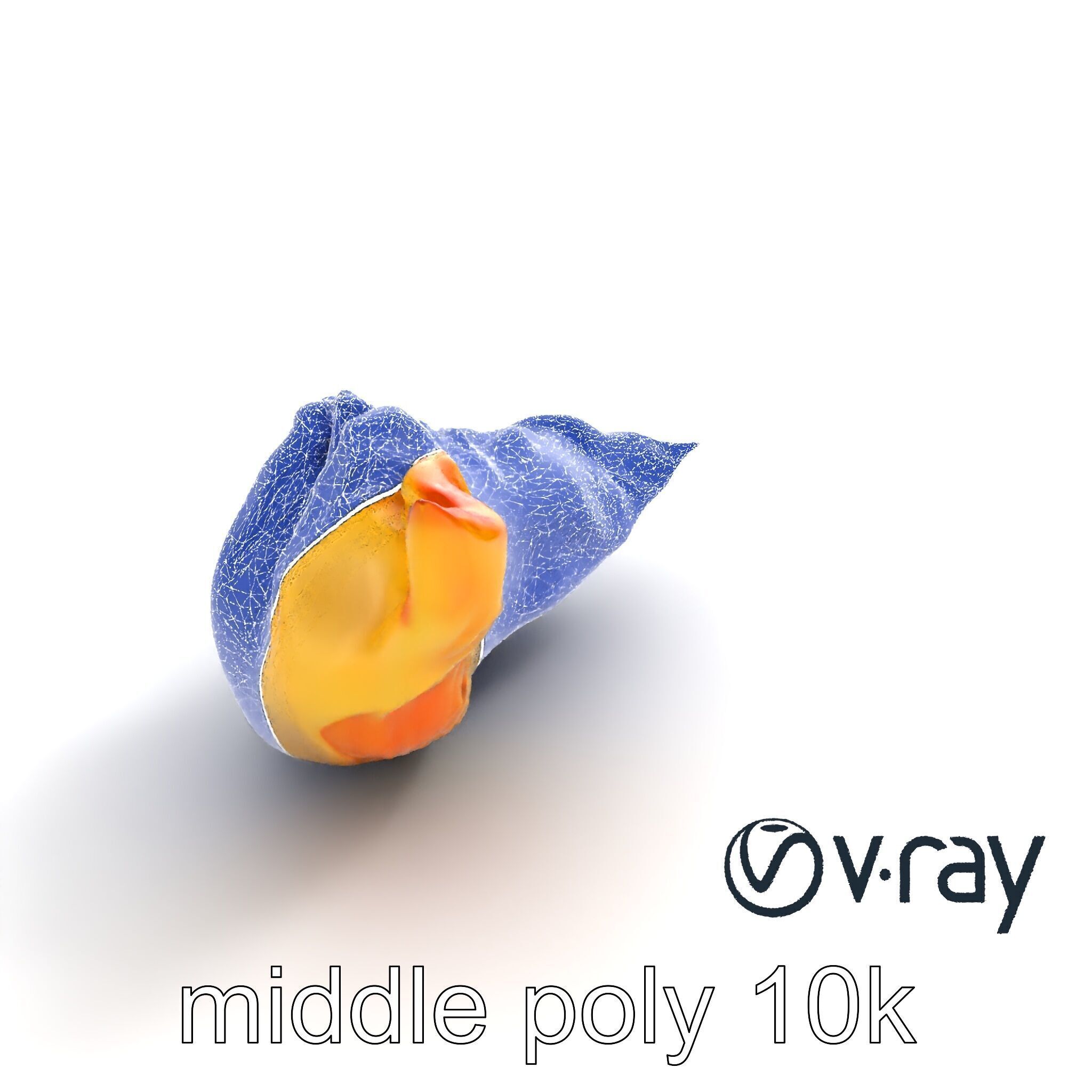 Traditional Dumpling Crescent Shape Model Pack Low-poly 3D model_13